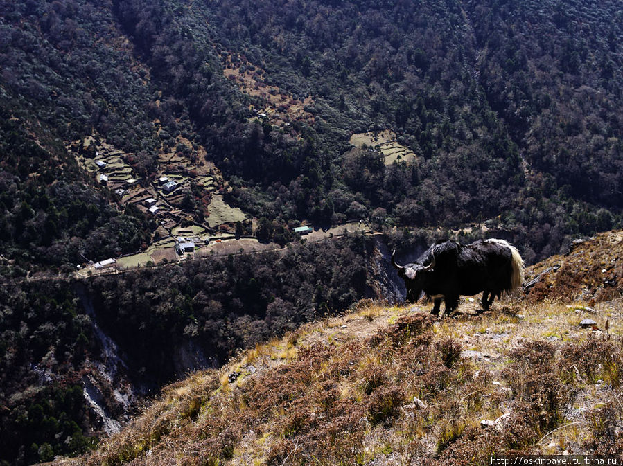 Струи всех дорог переплетаются в кнут... Гокьо, Непал