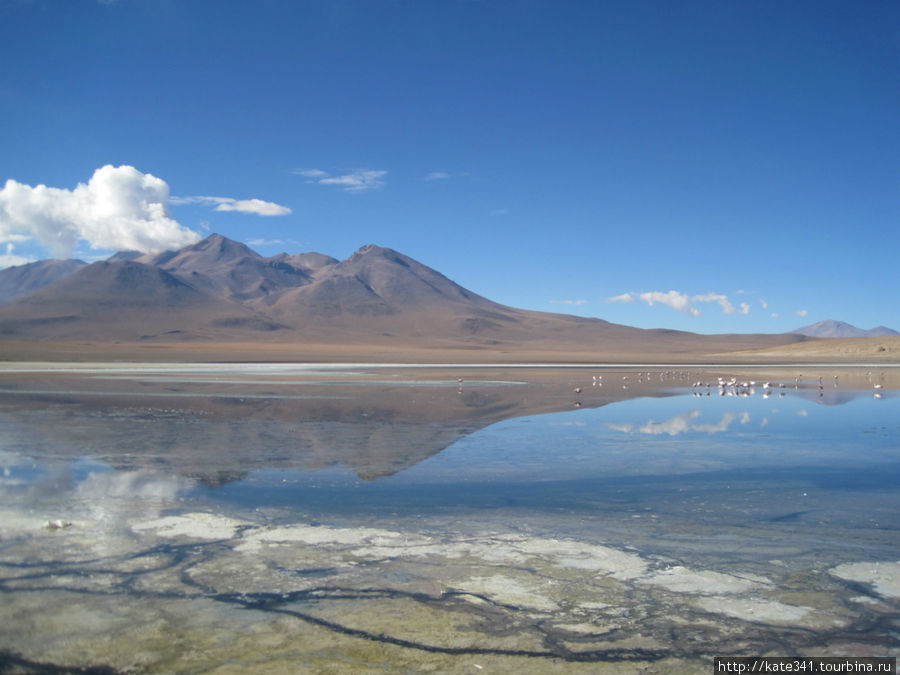 Цветные озера и лагуны Уюни Уюни, Боливия