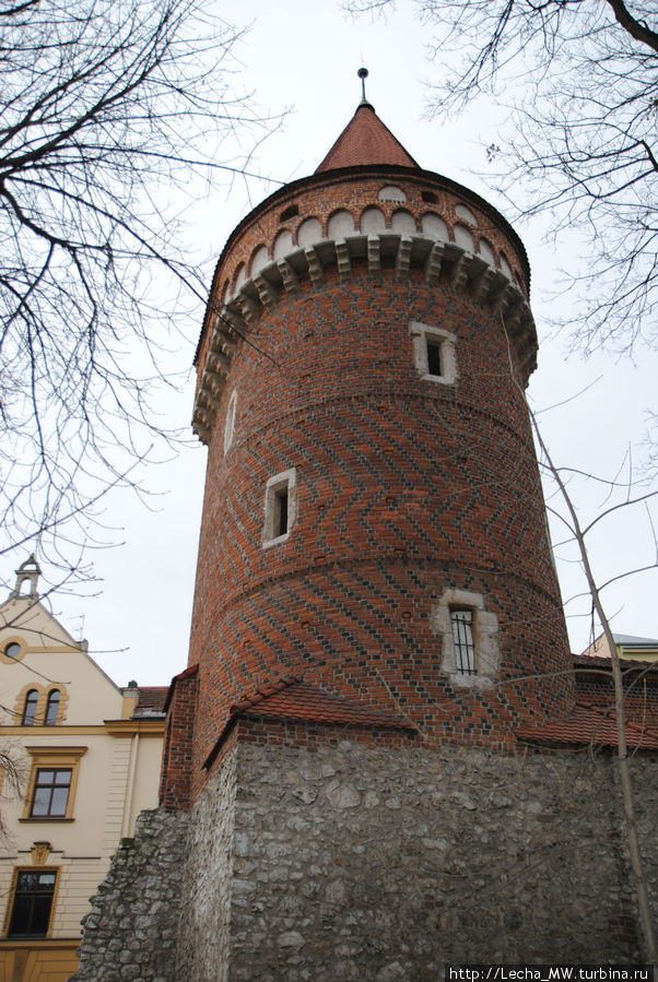 Столярская башня Краков, Польша