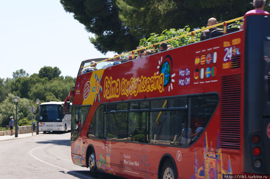 Экскурсионные автобусы Пальма-де-Майорка, остров Майорка, Испания