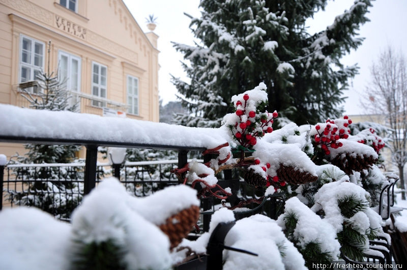 Глянешь вправо — еловые лапы гирлянд тяжелеют под снегом... Пьештяны, Словакия
