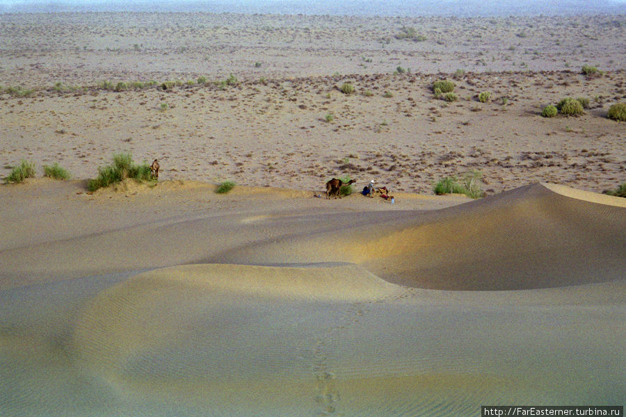 Трехдневное сафари на верблюдах по пустыне Тар Джайсалмер, Индия