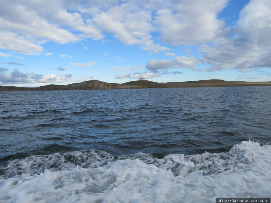 Цель поездки впереди — остров Магладены Остров Магдалена, Чили