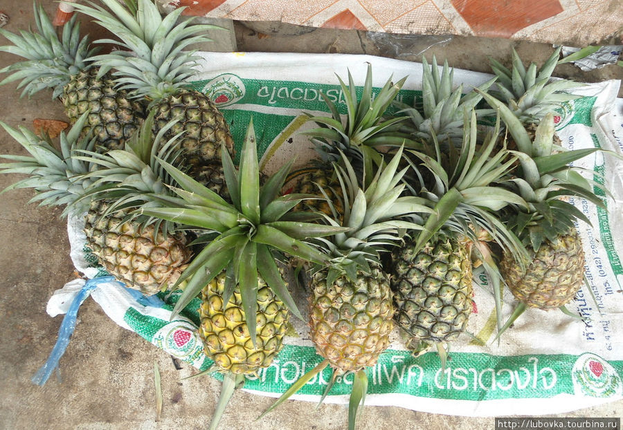 Август -сезон ананасов....1 шт.= 5000 кип....- копейки. Ванвьенг, Лаос