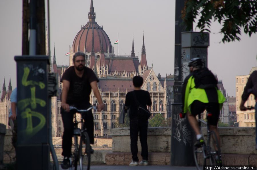 Велосипедисты, велосипедные дорожки, виды на Парламент. Будапешт, Венгрия