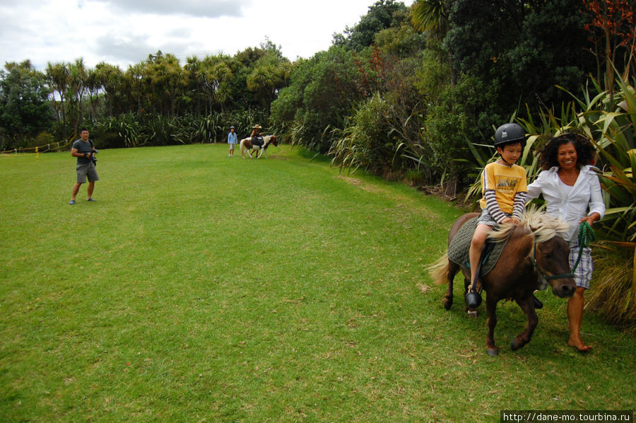 Катание на пони для детей Остров Ваихики, Новая Зеландия