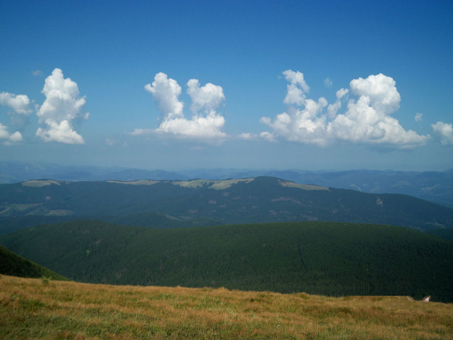 Вид с вершины Вид с вершины