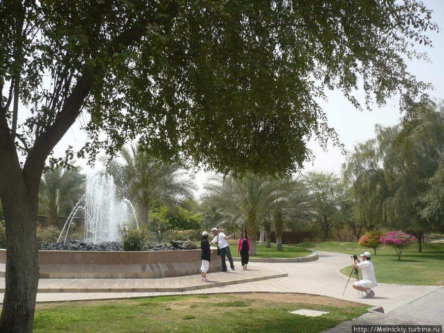 Зоопарк города Аль-Айн Аль-Айн (Аль-Хили), ОАЭ