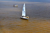 Вода в заливе мутно-желтого цвета, на фоне которой яхтенная регата выглядит не так элегантно, как могла бы, будь вода синей.
