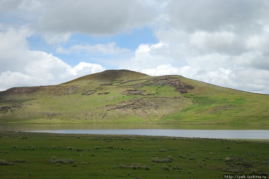 Рисунки на холме Рисунки на холме