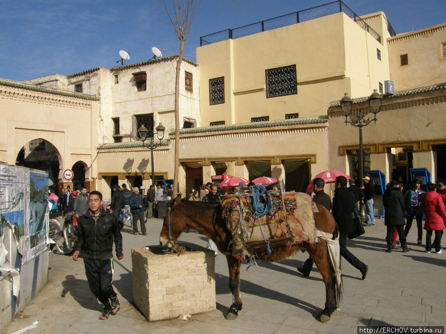 Город Фес - духовный центр Марокко