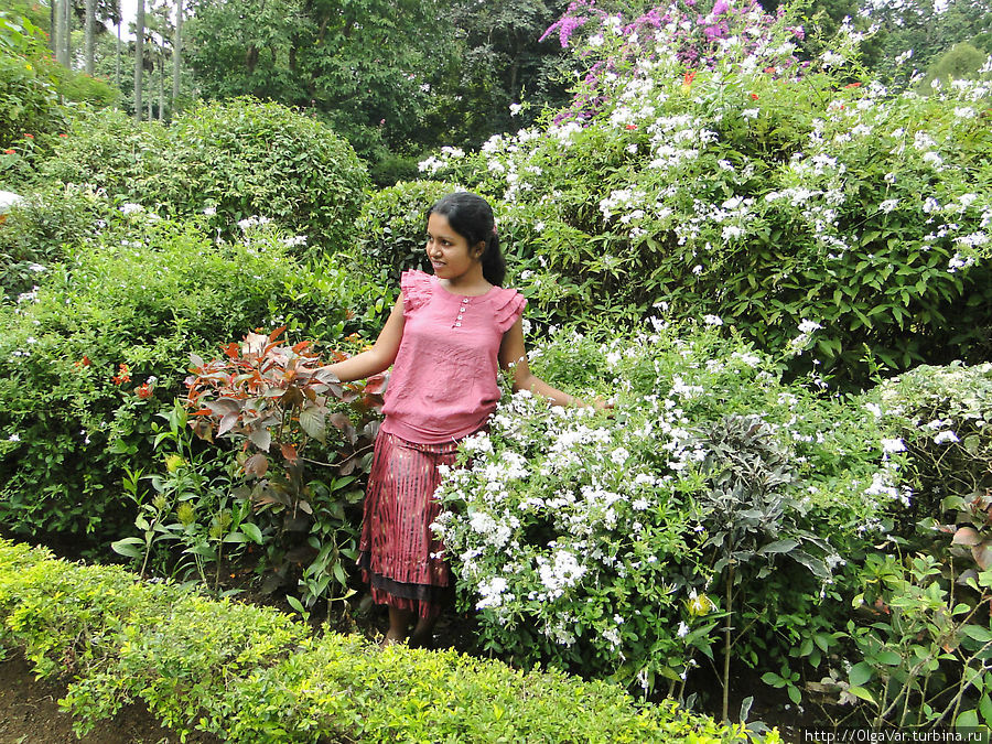 Еще одна Ева в райском саду... Перадения, Шри-Ланка