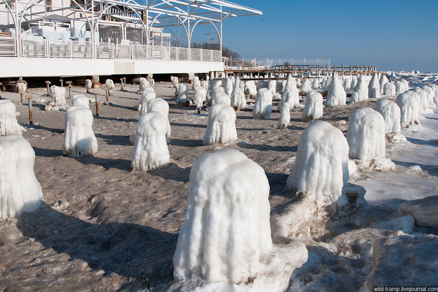 Шеренгами выстроились ледяные приведения Одесса, Украина