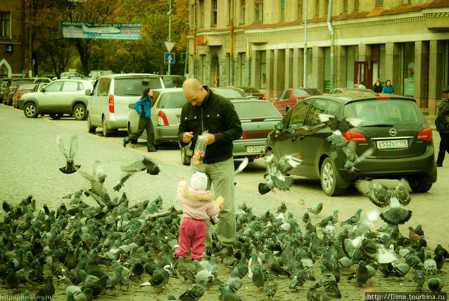 Детям нравятся голуби. Выборг, Россия