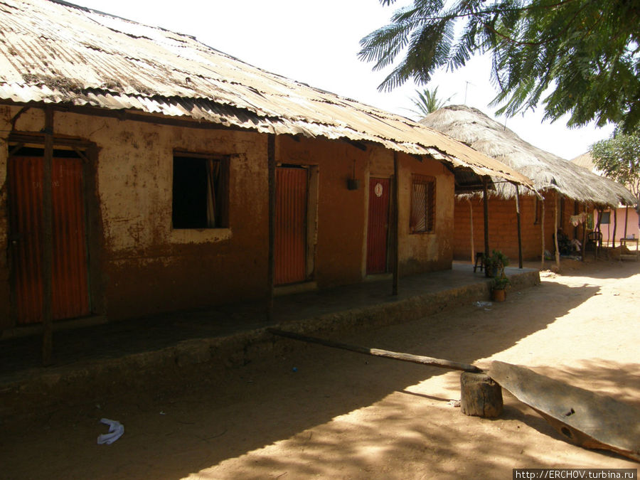 Африканская Болама Болама, Гвинея-Бисау
