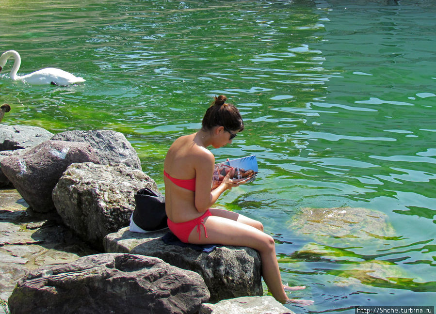 Жара на Цюрихском озере Цюрих, Швейцария