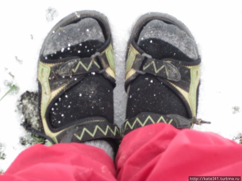 Как я провела 2011 год Как я провела 2011 год