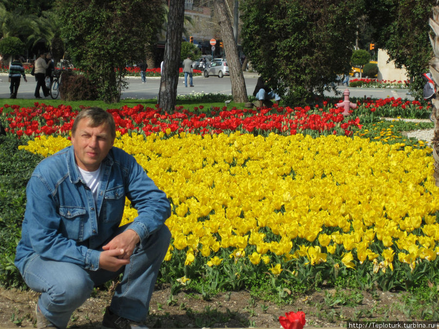 Я в тюльпанах Алания, Турция