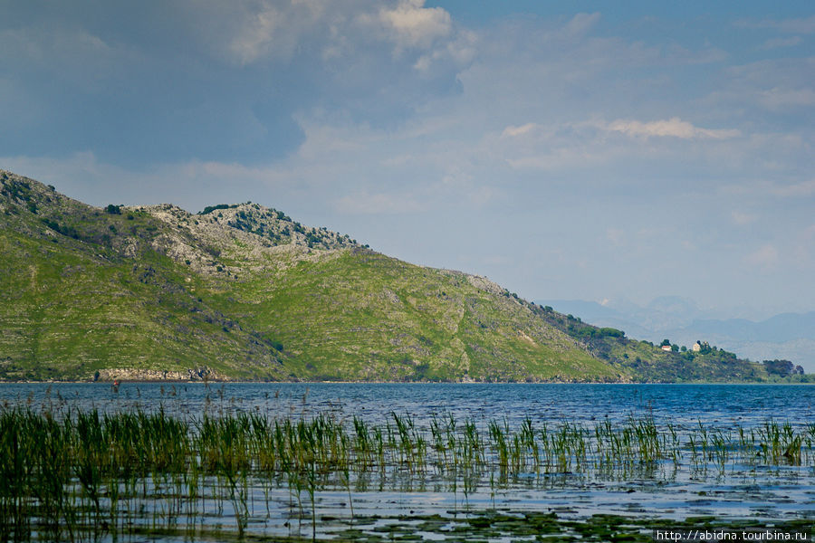 По берегам Скадарского озера Скадарское озеро, Черногория