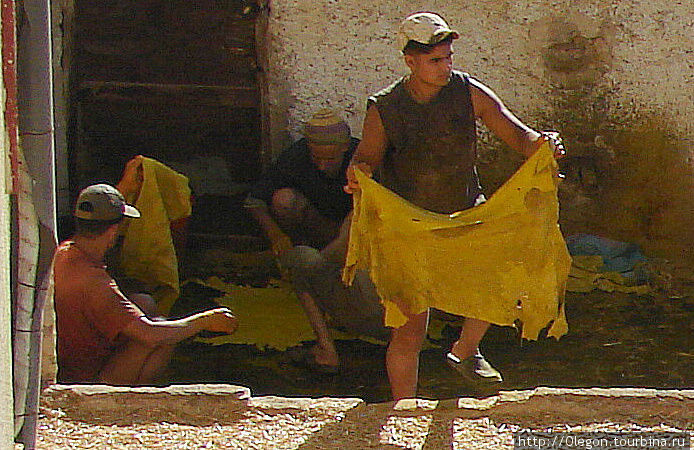 Тяжелейшая работа по отделке кожи, всё вручную- шкуры очищают от шерсти и остатков жира, затем замачивают на несколько недель в чане с жидкой известью Фес, Марокко