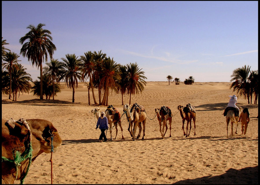 Прощание с Северной Африкой или все объекты ЮНЕСКО в Тунисе Тунис
