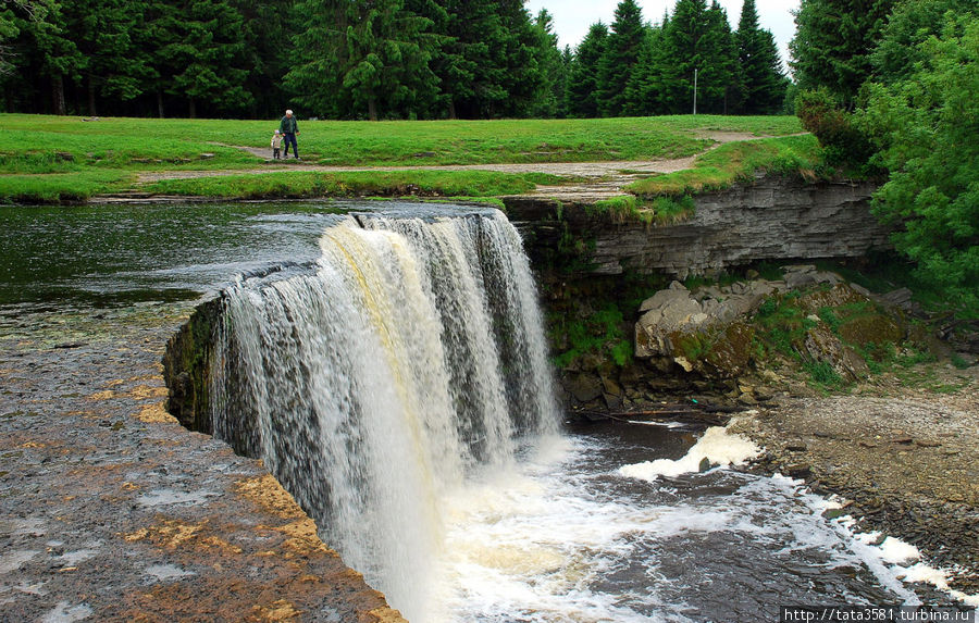 Высота водопада около 8 метров, а ширина около 50м. Он считается одним из крупнейших водопадов в Эстонии. Ягала-Йоа, Эстония