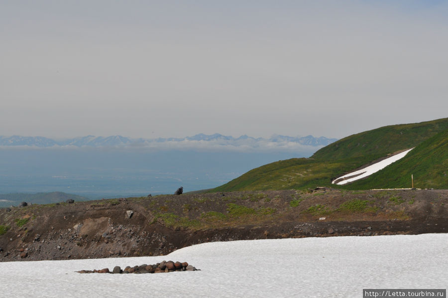 Снежник Авачинская сопка (2741м), Россия