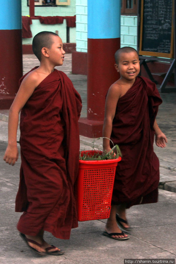 Субботник для монахов Ньяунг-Шве, Мьянма