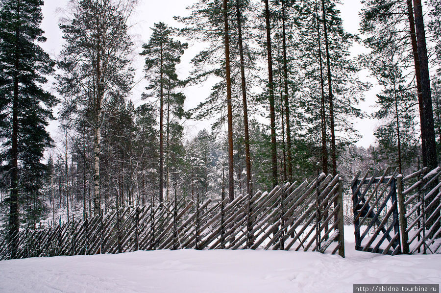 В гостях у финского Санта Клауса Кухмо, Финляндия