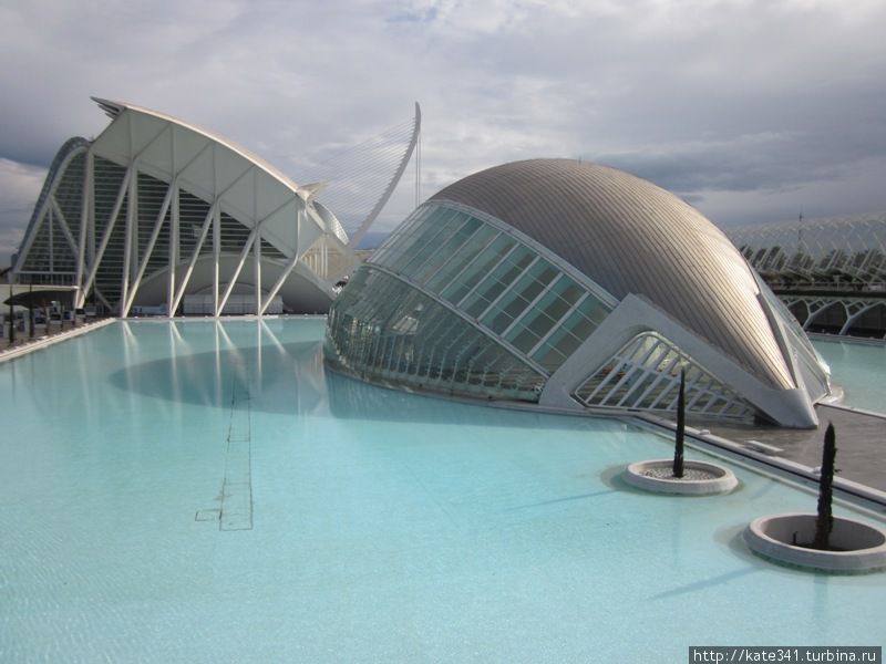 Как я провела 2011 год Как я провела 2011 год