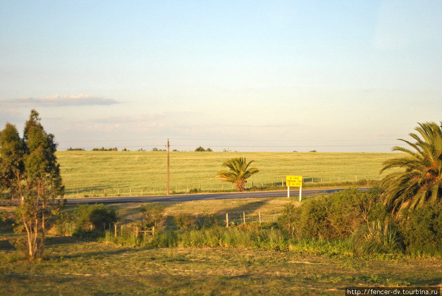 Уругвайская провинция за окном