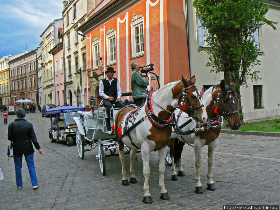 Если Вы не любите пешие прогулки, можете прокатится по Королевскому пути в карете, запряженной лошадьми... Краков, Польша