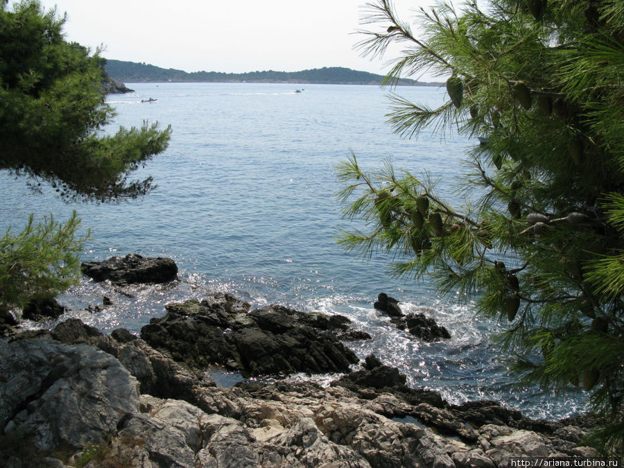 Цавтат: пахнет морем и хвоей Цавтат, Хорватия