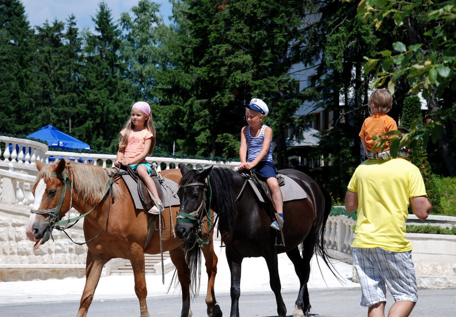 На фото три лошадки:) Боровец, Болгария