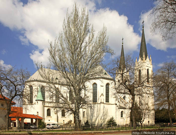 Церковь св. Рокуши Сегед, Венгрия