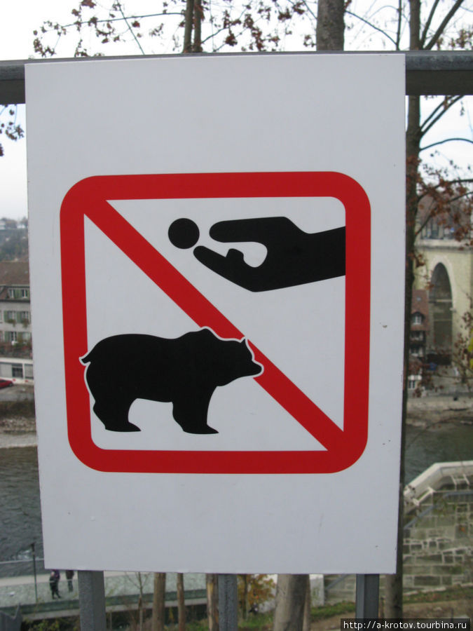 К выборам не относится. Это вовсе не значит... Это имеется ввиду — медведей не кормить! Берн, Швейцария