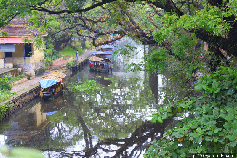Каналы Аллеппи Аллеппи, Индия