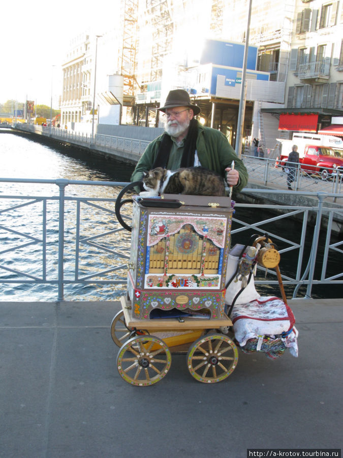 этот шарманщик зарабатывает деньги котом Женева, Швейцария