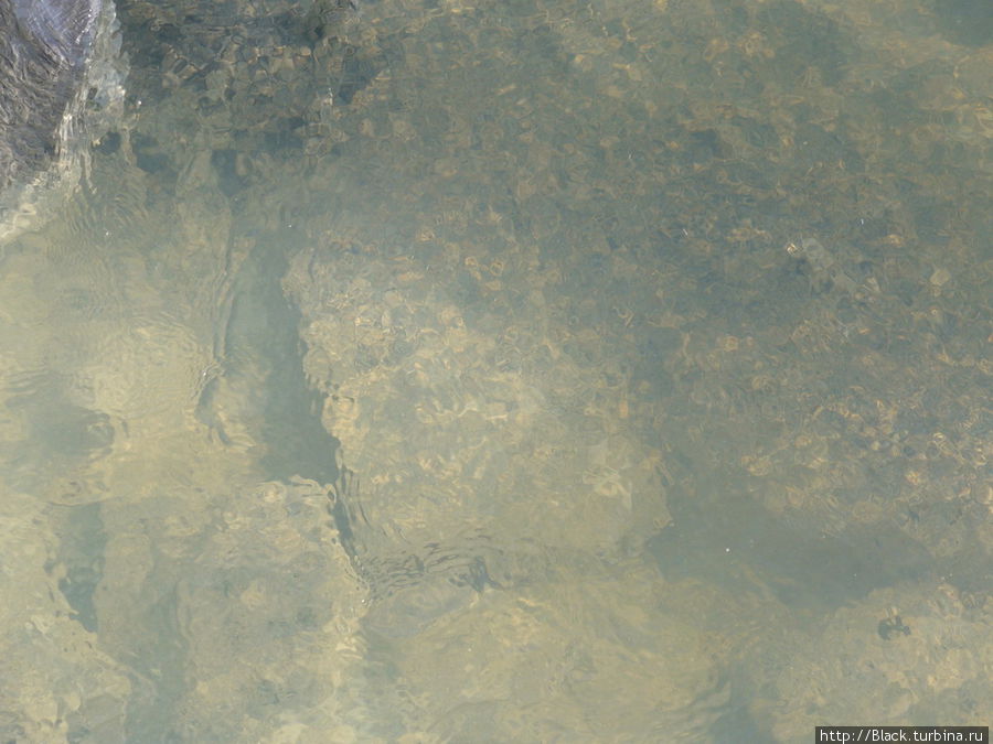 Из примеси сероводорода вода приобретает мутноватый цвет Из примеси сероводорода вода приобретает мутноватый цвет