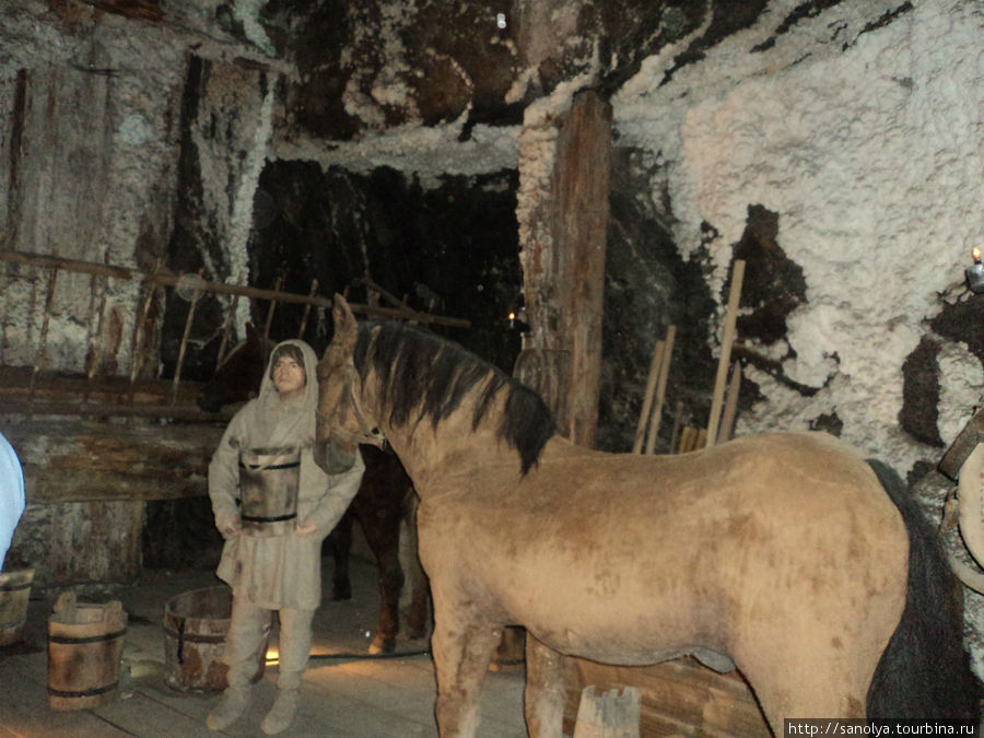 Лошади вплоть до 20в. сопровождали горняков в их работе под землей Величка, Польша