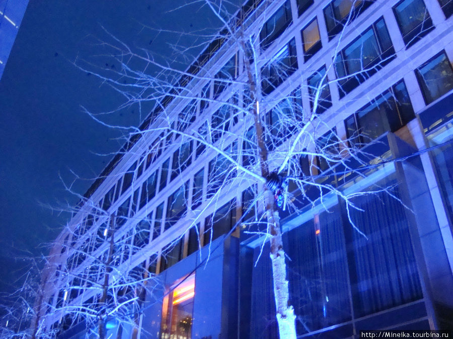 Цветной калейдоскоп рождественского Берлина Берлин, Германия