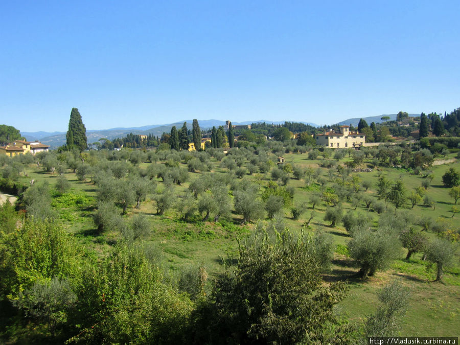 Флоренция — мое разочарование Флоренция, Италия Флоренция — мое разочарование Флоренция, Италия