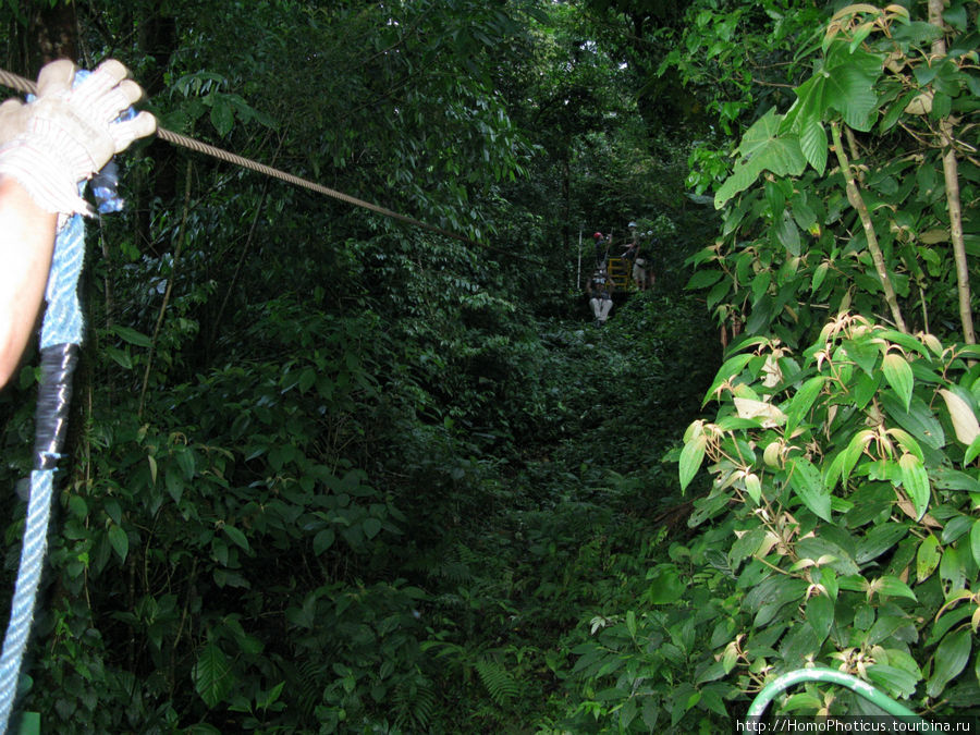 Канопи-тур Коста-Рика Канопи-тур Коста-Рика