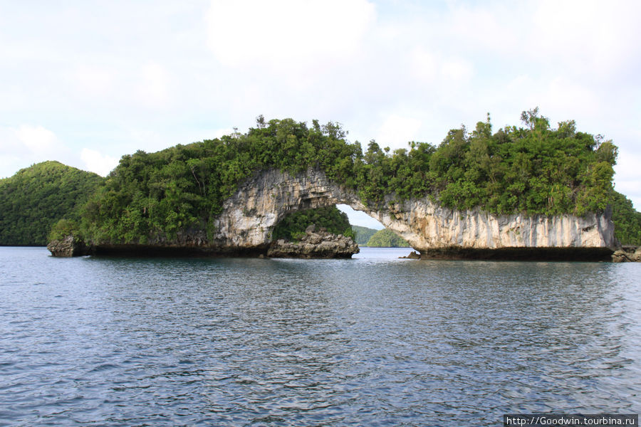 Немало и подобных арочных островов. Этот,говорят, самый известный из них Палау