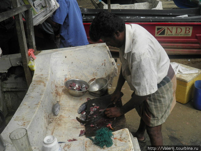 Sri Lanka (22) Гавань Галле – и лодки спят на берегу  … Галле, Шри-Ланка