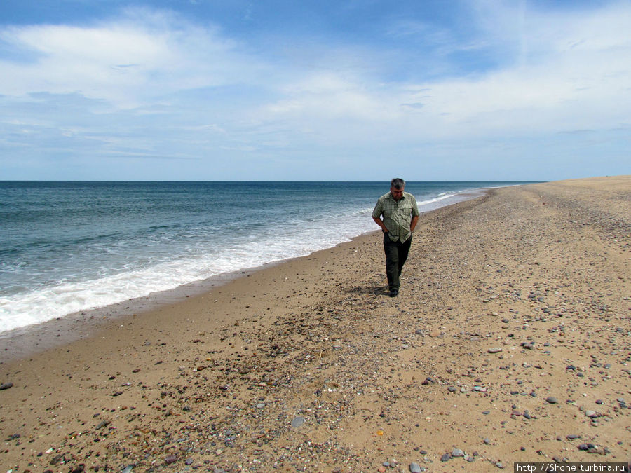 Бескрайние песчаные пляжи Кейп-Кода Национальное побережье Кейп-Код, CША