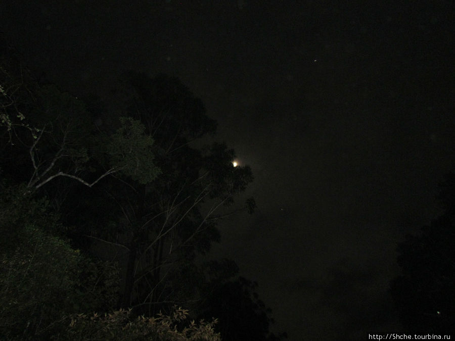 дело происходило в полной темноте Андасибе-Мантадиа Национальный Парк, Мадагаскар