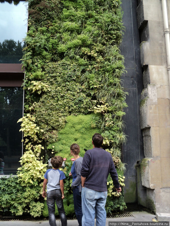Дом недалеко от Эйфелевой башни.Все стены покрыты живой зеленью.Полив осуществляется сверху. Париж, Франция