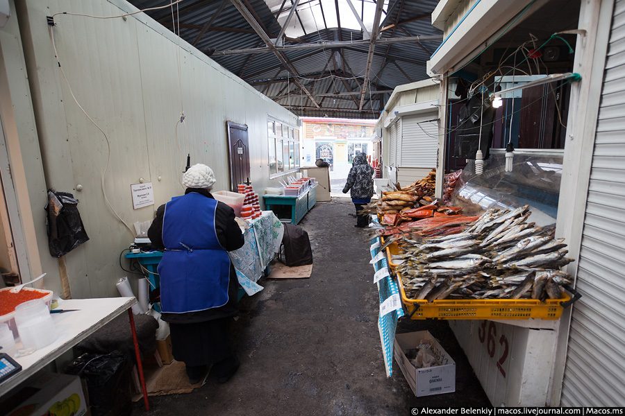 Браконьеры немного демпингуют цены во время путины. Браконьеры немного демпингуют цены во время путины.