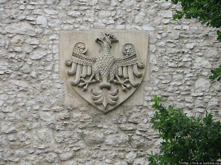 герб королевской династии Пястов Краков, Польша